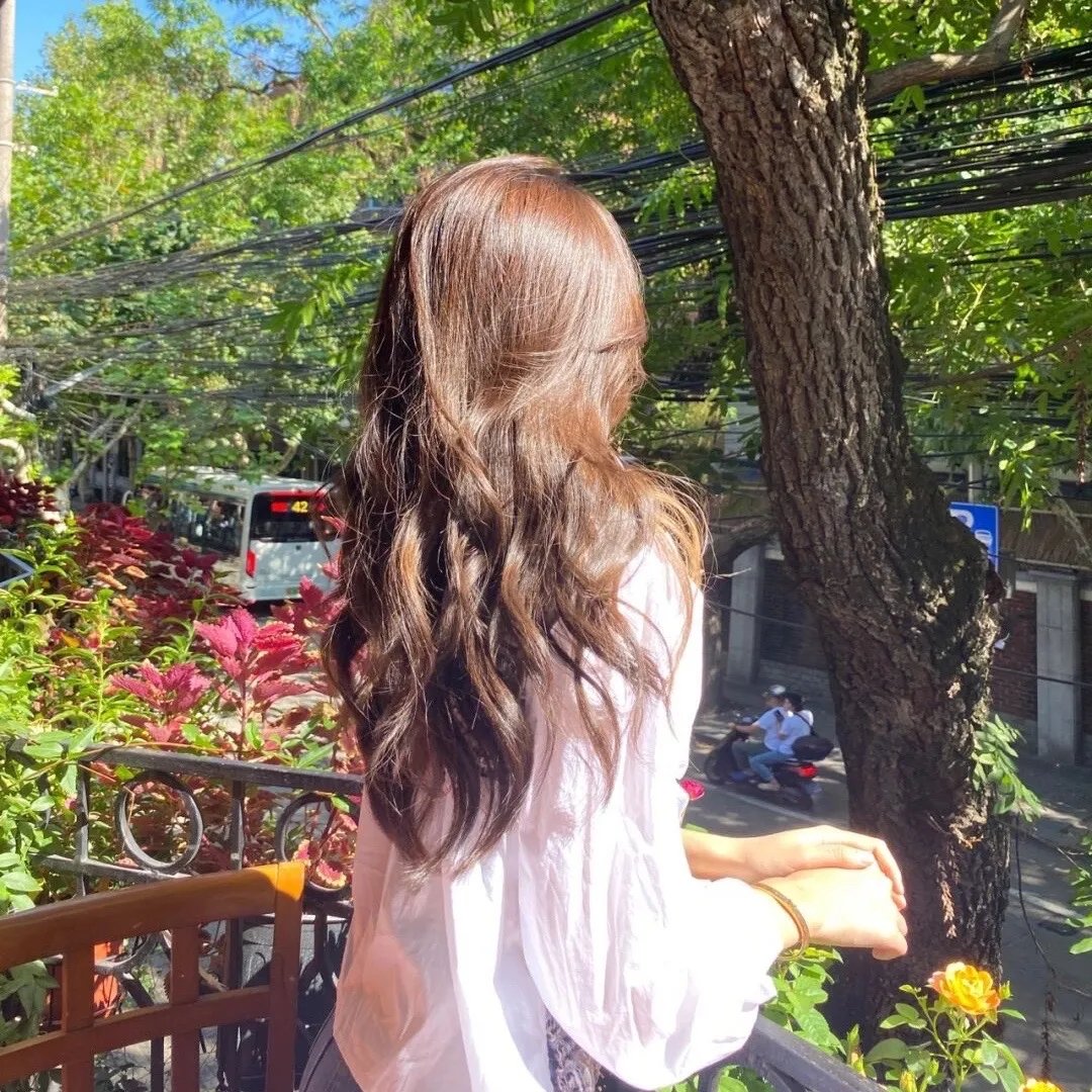 芭莉丝,非法国首都